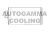 AUTOGAMMA 103982 Heat Exchanger, interior heating